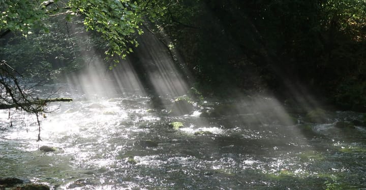 Poems for August